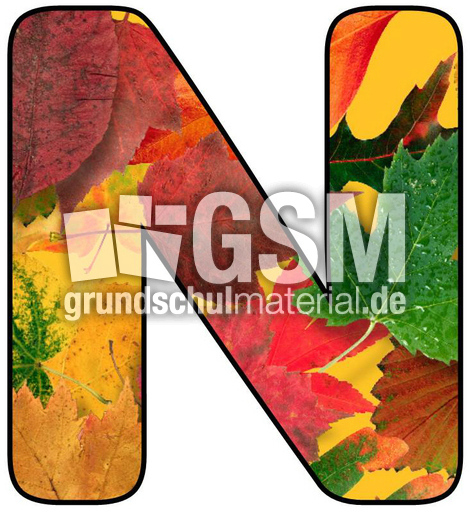 Herbstbuchstabe-5-N.jpg